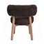 Jídelní židle BROWN