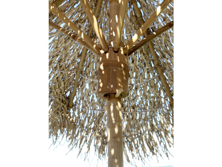 SLUNEČNÍK BAMBOO