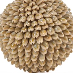 Přírodní dekorace 13 cm