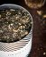 Sypaný čaj WHITE TEA - kokos a passion